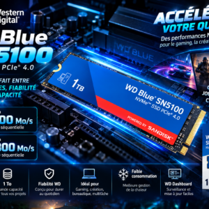 SSD WD BLUE 1TO NVME
